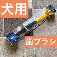 Item thumbnail for item 29e06df3-e05a-4d13-a552-b011e82dcb5a