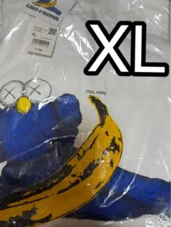 【新品タグ付き】Kaws Andy Warhol Tee XL ②
