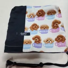 Item thumbnail for item e79f05d8-134c-4936-b157-3369c18c5b8f