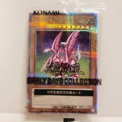 【未開封】ホーリー・ナイト・ドラゴン 初回生産限定特典カード
