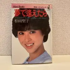 夢で逢えたら 松田聖子　本