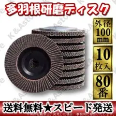 多羽根ディスク 80番10枚 ノーマルタイプ フラップ スパーク グラインダー