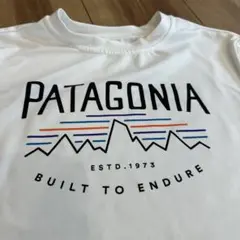 パタゴニア　キッズ　キャプリーン　ラッシュガード　Tシャツ　ノースフェイス好き