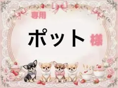 専用