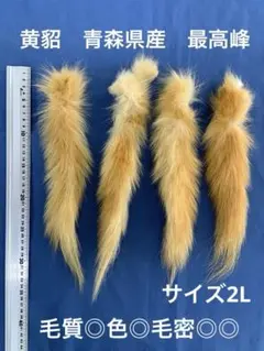 ▼ミンクコート✨色艶✨13号 XL 大きいサイズ リアルファー 貂 本毛皮 JK ▽ミンクコート✨色艶✨13号 XL 大きいサイズ リアルファー 貂