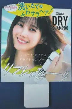 本田翼 ダイアン Diane パネル ボード