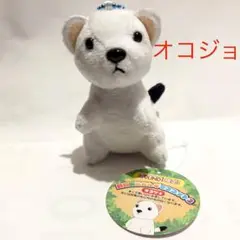ラウンドワン 動物園ふれんず ぬいぐるみ キーホルダー マスコット オコジョ