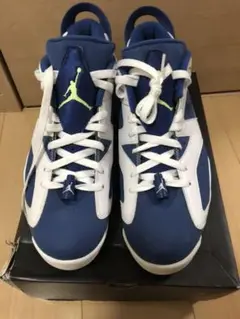 ナイキ エアジョーダン6 レトロ ロー ゴースト グリーン