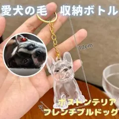 Item thumbnail for item d4d9c34e-5209-4515-a5c6-fb74d135c908