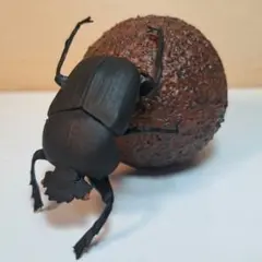 フンコロガシ　フィギュア