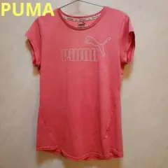 PUMA ドライTシャツ Lサイズ