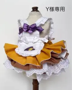 専用
