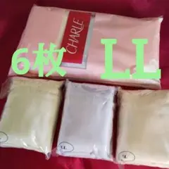 シャルレ定番ショーツ IB024 LL (アソート×2セット)6枚