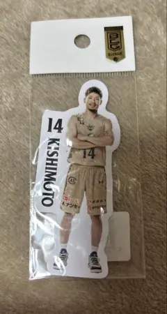 Item thumbnail for item 1a677436-96e1-4e02-9970-0d2b3f599da0