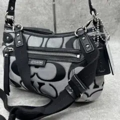 美品✨コーチ 2way ハンドバッグ ショルダーバッグ シグネチャー 黒