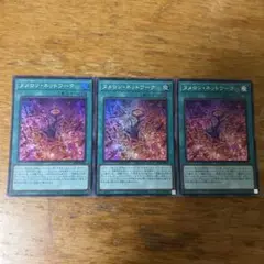 遊戯王 ヌメロンネットワーク スーパー 3枚