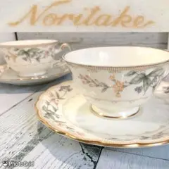 ノリタケ　カップ＆ソーサー RAVISSANTE 2客セット　ペア　ラヴィサント