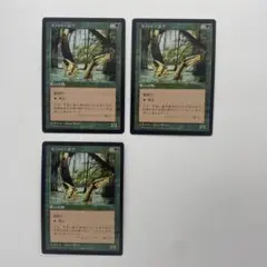 MTG 　リバー・ボア　日本語　ビジョンズ　旧枠　黒枠　3枚　まとめ