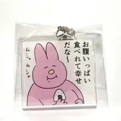 うさぎ　今日もいい1日だった！低空飛行うさぎと仲間たち　アクリルキーホルダー　③