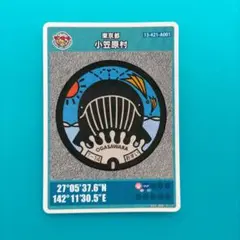 小笠原村 マンホールカード ザトウクジラ