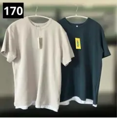 170 Tシャツ 2枚セット ベージュ ダークグリーン シンプル　半袖Tシャツ