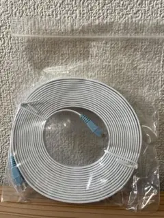 ホワイト RJ45 LANケーブル