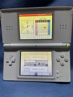 DSライト ホワイト