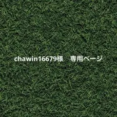 chawin16679様　専用ページ