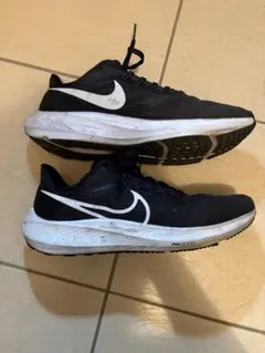 NIKEペガサス39