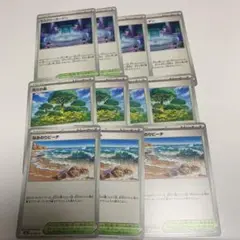 ポケモンカード　ミステリーガーデン　活力の森　なみのりビーチ
