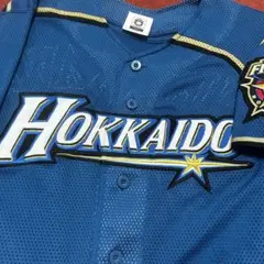 北海道 日本ハム ファイターズ ユニフォーム 刺繍 西川遥輝 西川