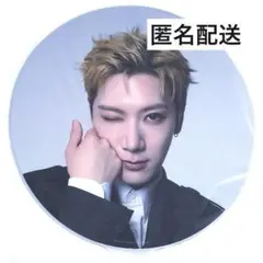 威神V WayV 公式MD TEN IMAGE PICKET テン うちわ 団扇