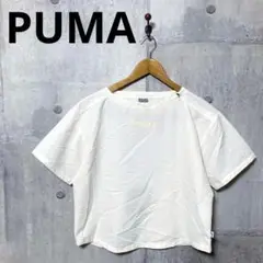 PUMA プーマ レディース シアサッカー生地 ラウンドヘムカットソー S