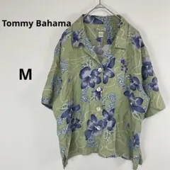 Item thumbnail for item 082e8070-8c8f-4fe9-b7cb-5d6e261ee59f