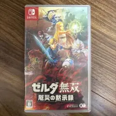 ゼルダ無双　厄災の黙示録　Nintendo Switch