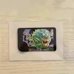 オーガポン ポケモン フレンダ スペシャルフレンダピック 1021