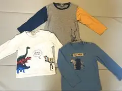 Item thumbnail for item a5b4bc64-14b1-427c-a740-bf029acf191b