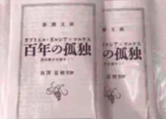 【2枚入り】百年の孤独 池澤夏樹監修 読み解き支援キット