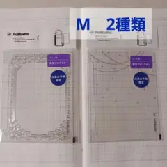 Item thumbnail for item 350b4d91-6588-404d-81c2-69022aab5c78