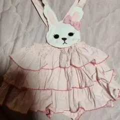 シャーリーテンプル　うさぎ　グレコ