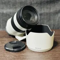 Item thumbnail for item 8cd2d78a-9ad4-47b0-a72d-8a1b358b87b4