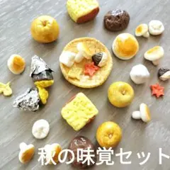 樹脂粘土　秋の味覚ミニチュアセットB　限定2