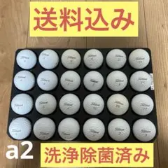 Titleist ゴルフボール 24個セット ロストボール