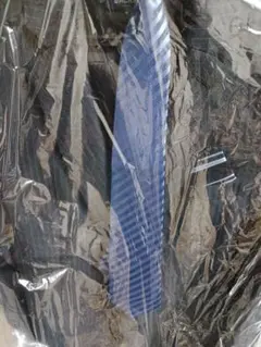 Item thumbnail for item 0cf07343-f94c-4977-9b54-abf2099b85e5