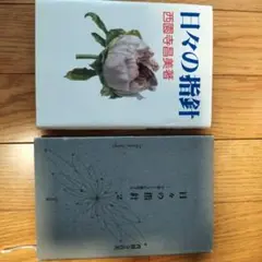 日々の指針　西園寺昌美著