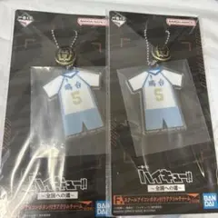 ハイキュー 一番くじ 鴎台 アクリルチャーム 2点セット