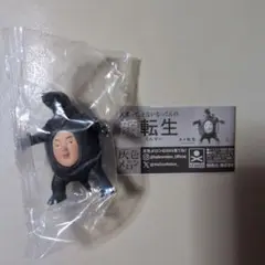 顔転生 カメ転生☆フィギュア 未開封☆