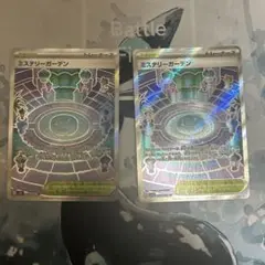 ミステリーガーデン トレーナーカード 2枚セット