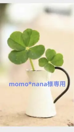 専用ページ