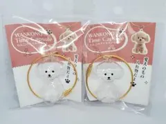 Item thumbnail for item dc6f6cf6-d953-4960-ac9f-ab821b148b06